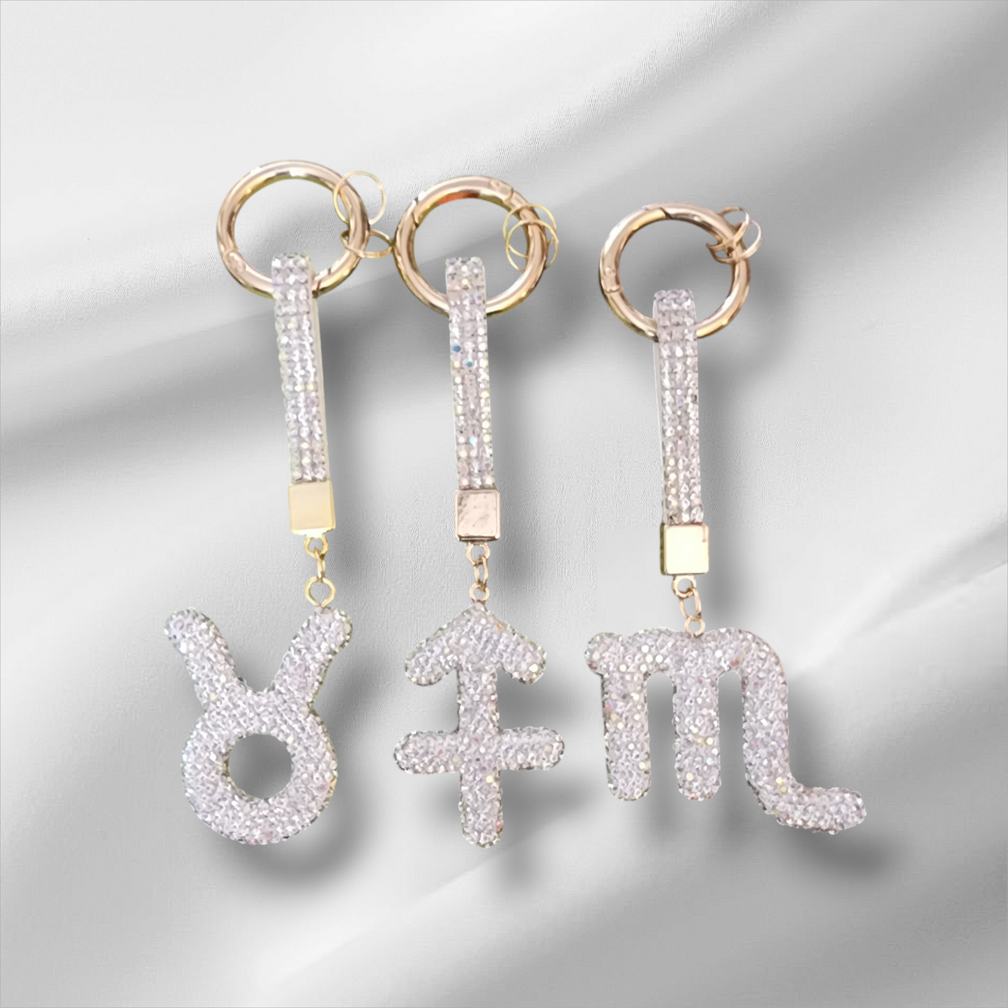 Zodiac Charms